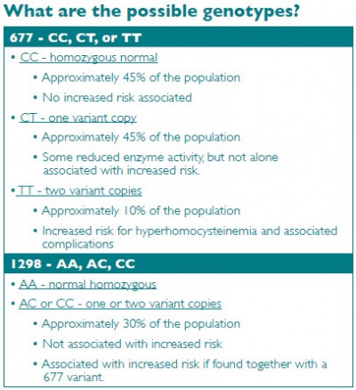 What are the possible genotypes: 677 - CC, CT, or TT. I298 - AA, AC, or CC.