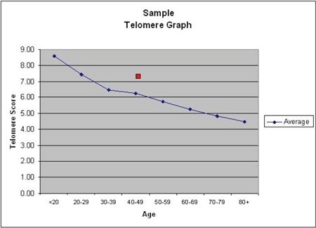 Telomere Graph Sample - Sample of a Telomere graph